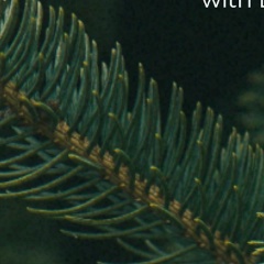 Юлия Абрамова, 12.03.1987, Воронеж