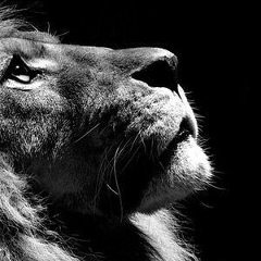 Вячеслав Подкин, 27.11.1985, Москва