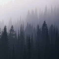 Женя Хусаинов, Санкт-Петербург