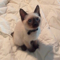 Владимир Борозенец, 08.05, Киев