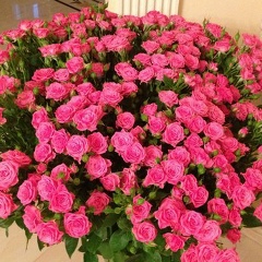 Elena Grigoryan, 29.05, Москва