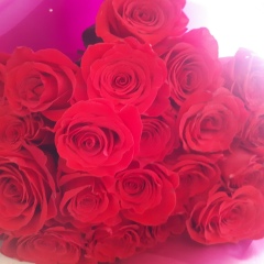 Светлана Шушкова, Сургут