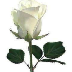 Гузеля Пржанова, 14.02.1986, Алматы