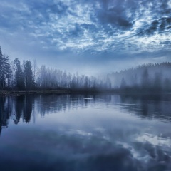 Иван Санович, Санкт-Петербург