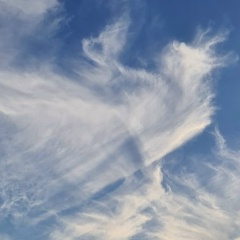 Assel Ry, 24.07.1993, Астана