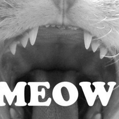 Никита Голиков, 17.02, Хабаровск