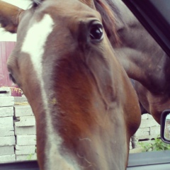 Алекс Браг, 08.01, Москва