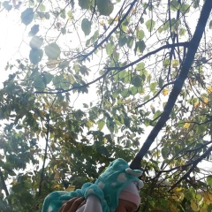 Жазира Саденова, 20.05.1993, Алматы