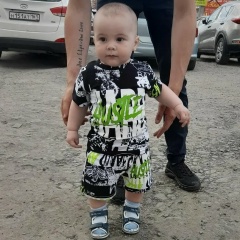 Адриан Чуботару, Hamburg