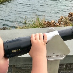 Артем Павлов, Санкт-Петербург