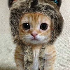 Денис Мацыків, 01.03.1996, Львов