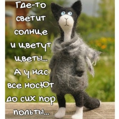 Светлана Сафарова, 10.03, Санкт-Петербург