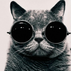 Nohchi Elmurzaev, 09.02