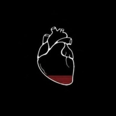 Асламбек Кадыров, 16.05.1995, Москва