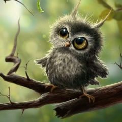 Алёна Гурин, Бровары