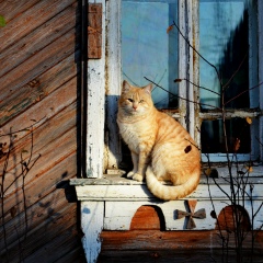 Марина Циммерман, 12.12