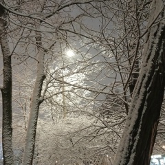 Павел Первый, 01.05, Хайфа