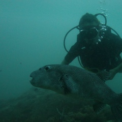 Вячеслав Чеверда, 04.05.1983, Новосибирск