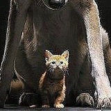 Мара Биктемиров, 26.06, Актобе