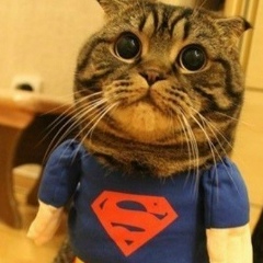 Ванька Ченин, 14.03.1991, Видное