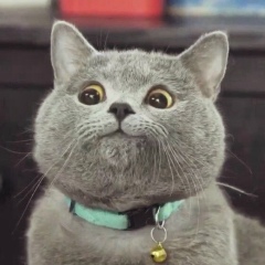 Паша Важнов, 14.08, Жуковский