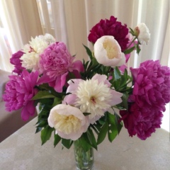 Диана Тания, 25.05