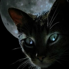 Pete Zhirnov, 18.06.1989, Москва