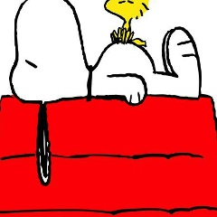 Thun An Freitas Chiu, 02.05.1988