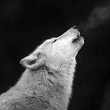 Алексей Лубеев, 20.10.1986, Санкт-Петербург