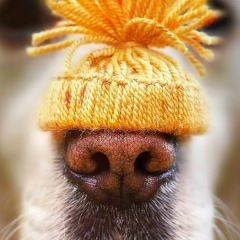 Людмила Букина