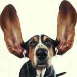 Антон Ремарчук, 18.12.1983, Брест