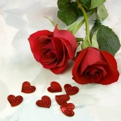 Айдана Кайыркожаева, 10.11.1991, Шымкент