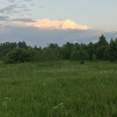 Надежда Обухова, 13.06.1985, Москва