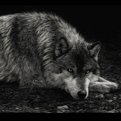 Бахытжан Максутов, 03.09