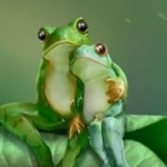 Елена Киселева, 29.04, Санкт-Петербург