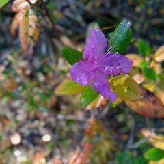 Дарья Бутакова, 22.10, Иркутск