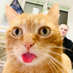 Henry Shreiberg, 27.05.1983, Тюмень