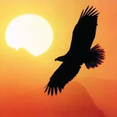 Mr Hater, 09.08, Моздок