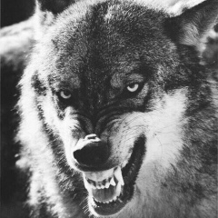 Амир Матаев, 25.08, Грозный