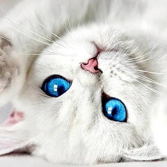 Юлия Данилова, 14.06, Москва