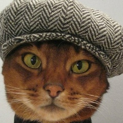 Максим Викторович, Брянск