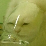 Сергей Потапов, 31.05.2004