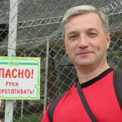 Алексей Розанов, Москва