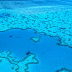 Евгений Чурканов, 20.07.1945, Санкт-Петербург