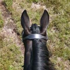 Александра Юдина, 15.09, Санкт-Петербург