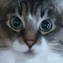 Дмитрий Головачёв, 04.06.1989, Ярославль