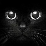 Денис Якимов, 28.12.1984, Канск