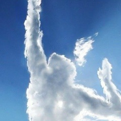 Игорь Вовчинский, 10.01.1993, Сургут