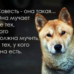 Діма Ковальчук, Санкт-Петербург