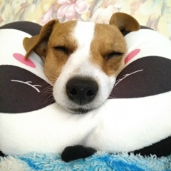 Юлия Кочеткова, 15.02, Санкт-Петербург